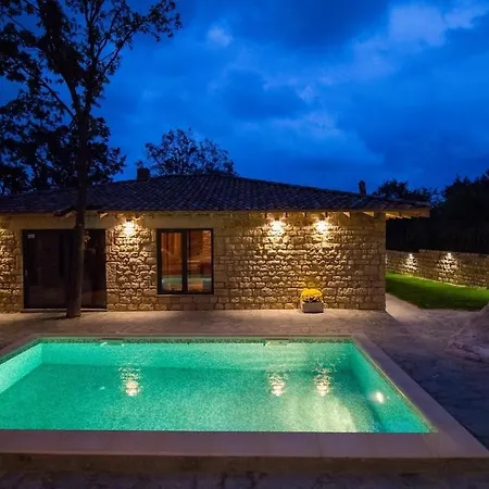 Dolce - Vintage Varna